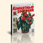 Журнал