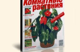 Журнал