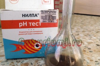 PH тест водного раствора цеофлоры