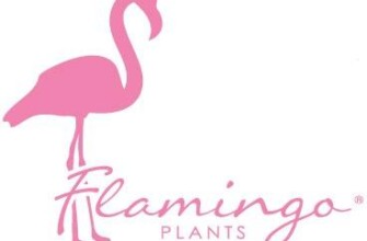 Компания Flamingo-Plant VOF