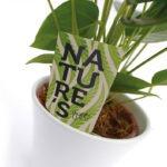 Nature, подарок природы Антуриумы из коллекции Nature