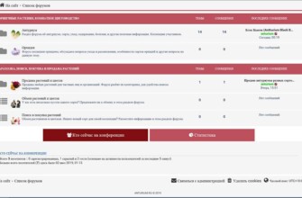Регистрация на форуме