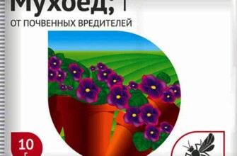 Мухоед для растений