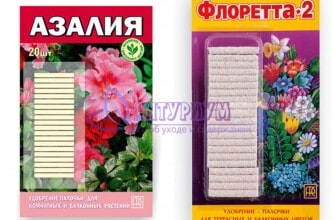 Удобрения палочки: Азалия» и «Флоретта-2